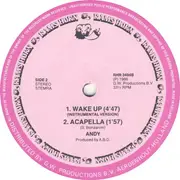 12inch Vinyl Single - Andy - Wake Up
