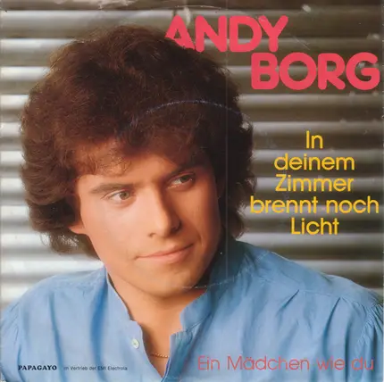Andy Borg - In Deinem Zimmer Brennt Noch Licht