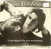 7'' - Andy Gibb - I Just Want To Be Your Everything