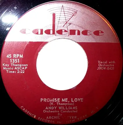 Andy Williams - Promise Me, Love