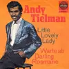 7'' - Andy Tielman - Little Lovely Lady / Warte Ab Darling Rosemarie