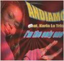 12inch Vinyl Single - Andiamo Featuring Karla La Trice - I'm The Only One