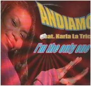 12inch Vinyl Single - Andiamo Featuring Karla La Trice - I'm The Only One