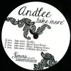 12inch Vinyl Single - Andlee - Take More