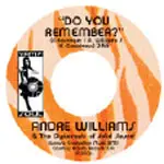 Andre - DO YOU REMEMBER