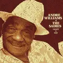 LP - ANDRE & THE SADIES WILLIAMS - NIGHT & DAY