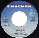 7inch Vinyl Single - Andre Williams - Girdle Up