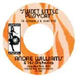 Shy FX - SWEET LITTLE PUSSYCAT