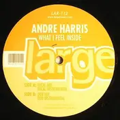 Andre Harris - What I Feel Inside