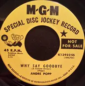 Andre Popp - Why Say Goodbye