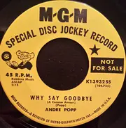 André Popp - Why Say Goodbye