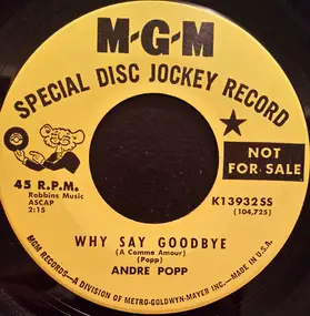 Andre Popp - Why Say Goodbye