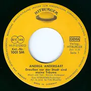 7inch Vinyl Single - Andrea Andergast - Draussen Vor Der Stadt Sind Meine Träume