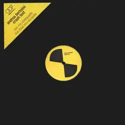 Andrea Bertolini - Crash Test