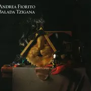 12inch Vinyl Single - Andrea Fiorito - Balada Tzigana