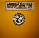 12inch Vinyl Single - Andrea Mendez - Fantasy Come True