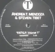 12inch Vinyl Single - Andrea T. Mendoza vs. Tibet - Fat E.P. Volume 1