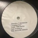 12inch Vinyl Single - Andrea T. Mendoza - Feeling You