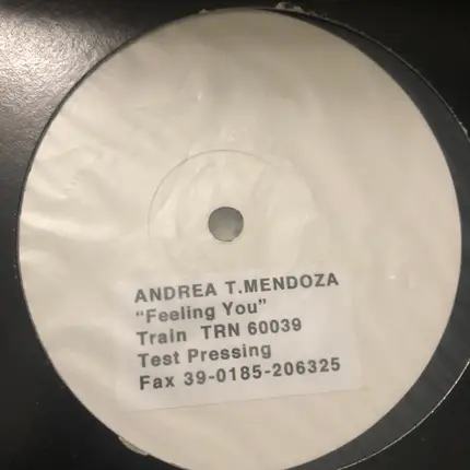 Andrea T. Mendoza - Feeling You