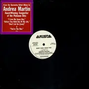 12'' - Andrea Martin - Baby Can I Hold You