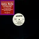 12'' - Andrea Martin - Baby Can I Hold You