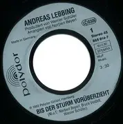 7inch Vinyl Single - Andreas Lebbing - Bis Der Sturm Vorüberzieht