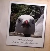 Andreas Pionty - Death of the Seagull