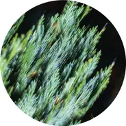 Andreas Tilliander - Ofog EP