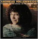 12inch Vinyl Single - Andreas Vollenweider - Pyramid - In The Wood - In The Bright Light