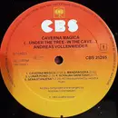 LP - Andreas Vollenweider - Caverna Magica (...Under The Tree - In The Cave...) - Halfspeed Mastered