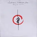 LP - Andreas Vollenweider - Dancing With The Lion