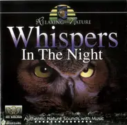 Andrés Roca - Whispers In The Night