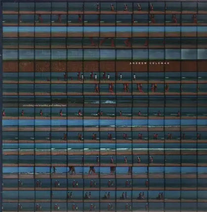 Andrew Coleman - Everything Was Beautiful, And Nothing Hurt