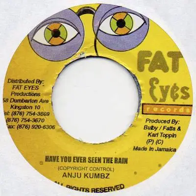 Andrew Coombs - Have You Ever Seen The Rain