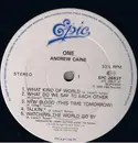 LP - Andrew Caine - One