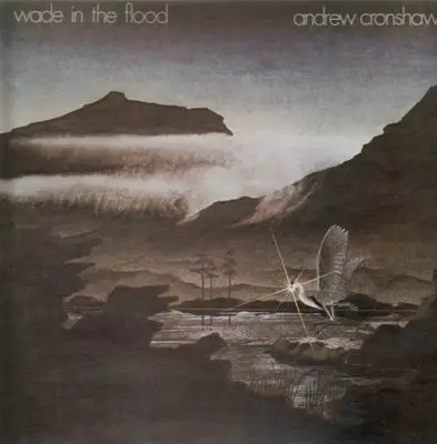 Andrew Cronshaw - Wade in the Flood