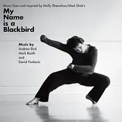 Andrew Bird - Music from and inspired by My Name is a Blackbird