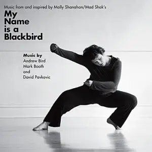 Andrew Bird , Mark Booth , David Pavkovic - Music from and inspired by My Name is a Blackbird