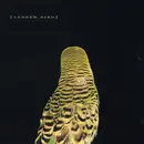 CD - Andrew Bird - Armchair Apocrypha