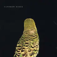 Andrew Bird - Armchair Apocrypha