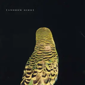 Andrew Bird - Armchair Apocrypha