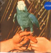 Andrew Bird - Are You Serious