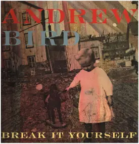 Andrew Bird - Break It Yourself