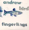 CD - Andrew Bird - Fingerlings - Cardboard sleeve