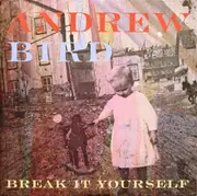 Double LP & CD - Andrew Bird - Break It Yourself