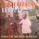 Double LP & CD - Andrew Bird - Break It Yourself