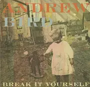 CD - Andrew Bird - Break It Yourself