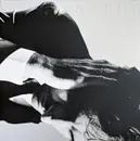 LP - Andrew Bird - Inside Problems