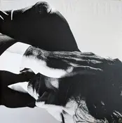 Andrew Bird - Inside Problems