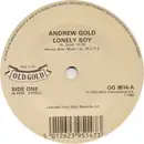 7inch Vinyl Single - Andrew Gold - Lonely Boy / Never Let Her Slip Away
